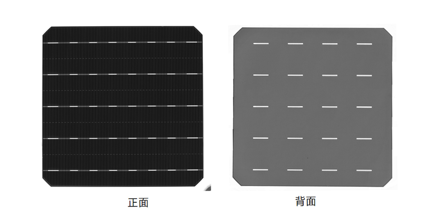 未标题-1.jpg